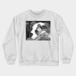 BAILEY Crewneck Sweatshirt